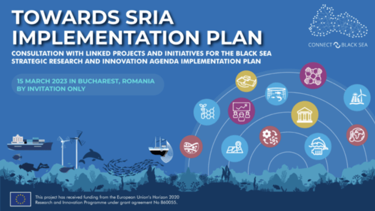 Towards SRIA Implementation Plan