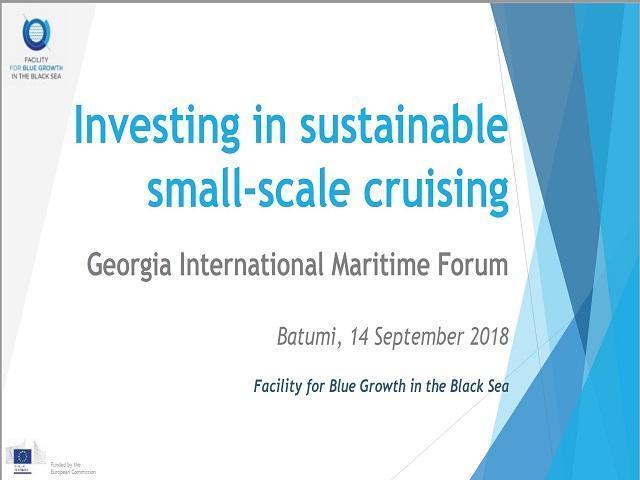 GIMF2018: Workshop on Small Scale Cruise