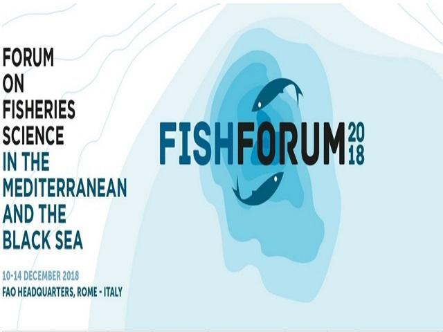 Fish Forum 2018: 10-14.12 2018, Rome, Italy