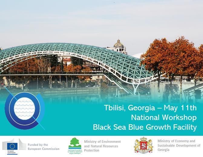 National Workshop: Georgia - 11.05.2018