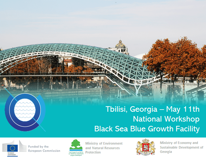 National Workshop: Georgia - 11.05.2018