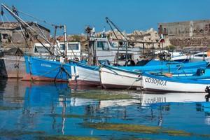Mediterranean and Black Seas: Commission proposes fishing opportunities for 2020