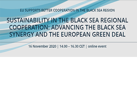 SUSTAINABILITY IN THE BLACK SEA REGIONAL COOPERATION: ADVANCING THE BLACK SEA SYNERGY AND THE EUROPEAN GREEN DEAL