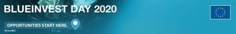 BlueInvest 2020