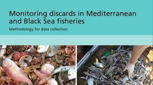 Monitoring discards in Mediterranean and Black Sea fisheries: methodology for data collection