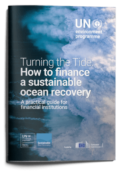 TURNING THE TIDE: HOW TO FINANCE A SUSTAINABLE OCEAN RECOVERY