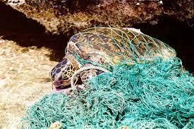 PILOT SMALL-SCALE COLLECTION OF OLD FISHING NETS AND MARINE LITTER IN THE SARIYER MUNICIPALITY