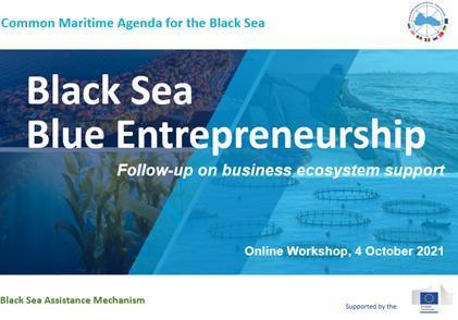 Blue Entrepreneurship Workshop - Follow-up on business ecosystem support