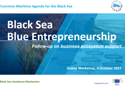 Blue Entrepreneurship Workshop - Follow-up on business ecosystem support