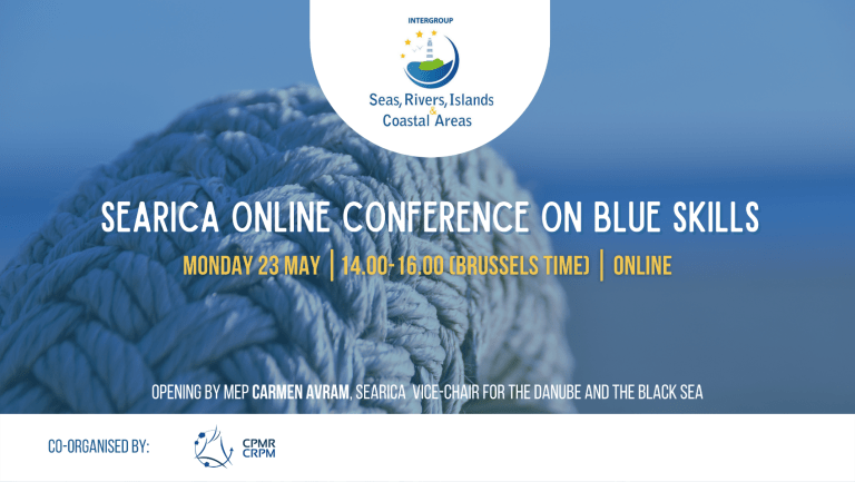 SEArica Conference on Blue Skills
