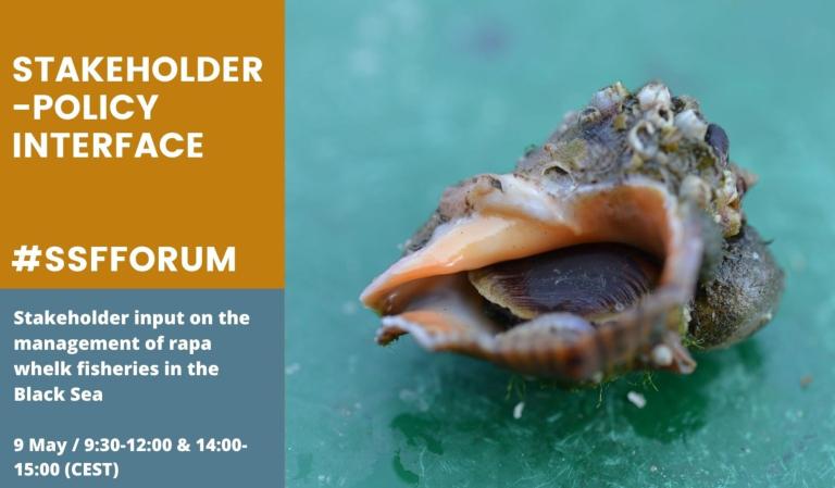 The Small-Scale Fishers’ Forum - Stakeholder input on the management of rapa whelk fisheries in the Black Sea