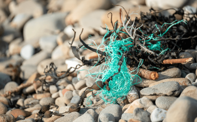 Marine litter and pollution – Smart and low environmental impact fishing gears